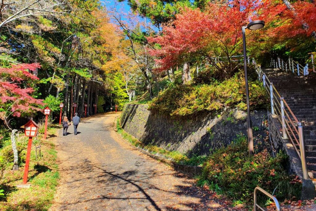 arakura-fuji-sengen-jinja-pathways